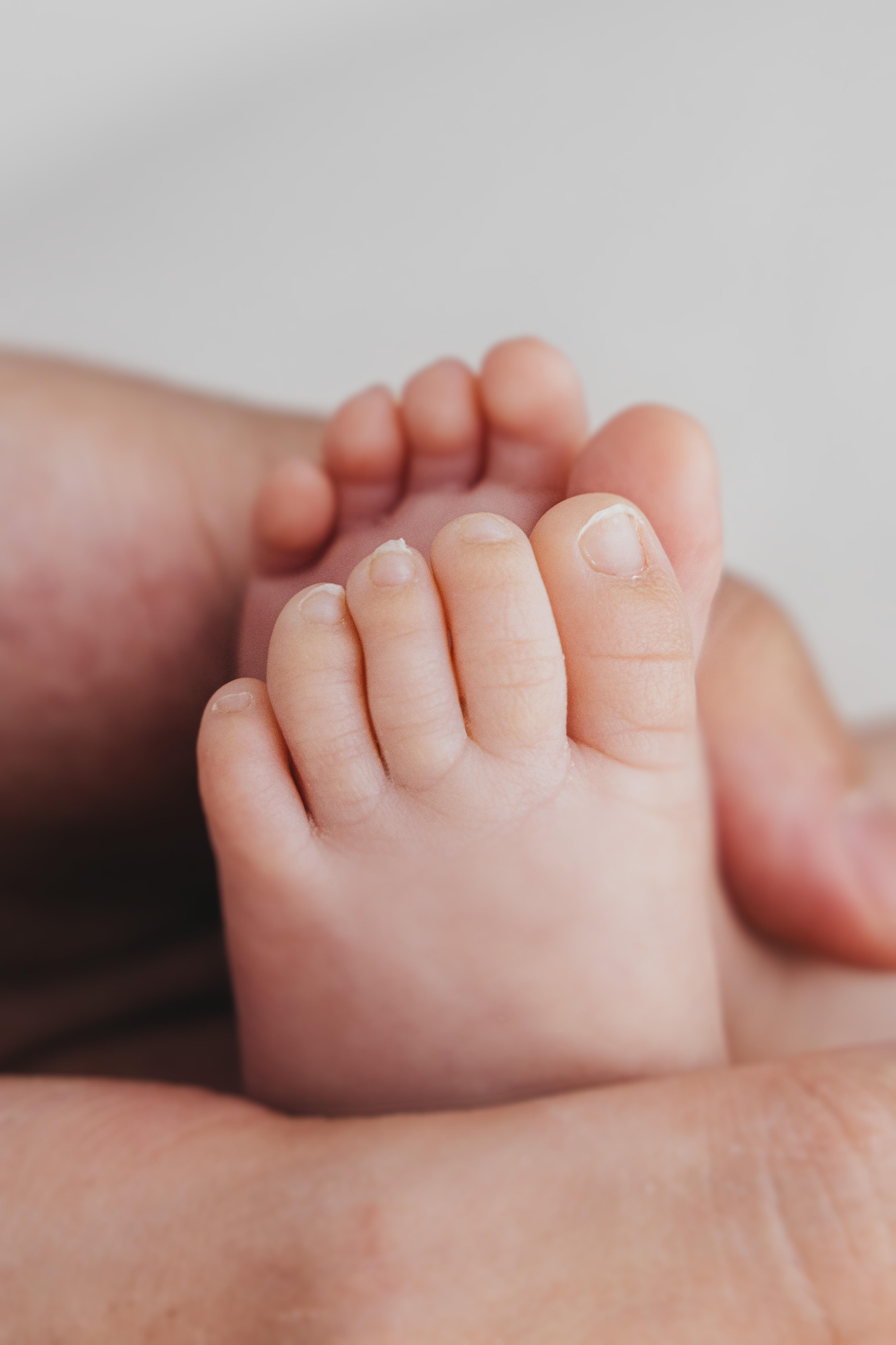 Newborn baby's tiny feet cradled in parent's hands — close detail shot from a Rugby newborn photography session
