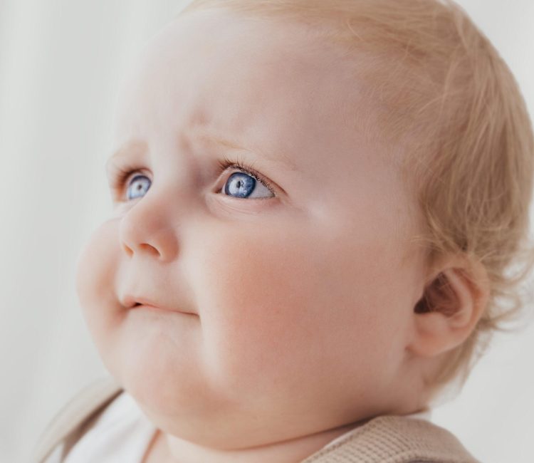 2025_05_16_1667-2-Edit 2025_05_16_1667-2-Edit